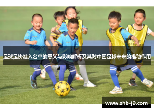 足球足协准入名单的意义与影响解析及其对中国足球未来的推动作用